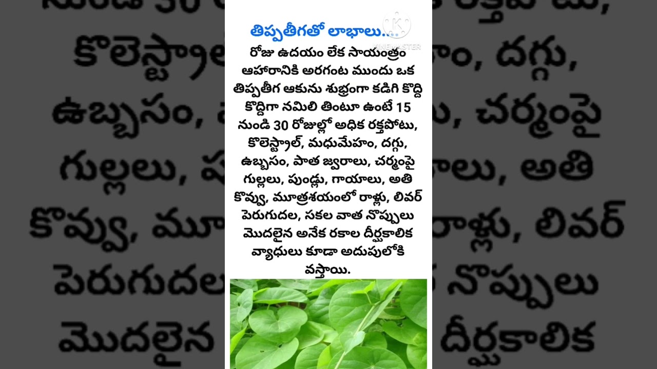 #తిప్పతీగ