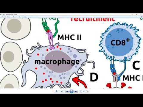 Dr. John Campbell | Research Scientist Explains Spike Protein