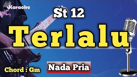 TERLALU - ST12 [ KARAOKE MELAYU ] NADA PRIA