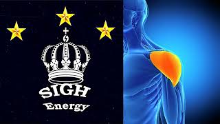 Shoulder Healing EXTREMELY POWERFUL!!! (Energetically Programmed)