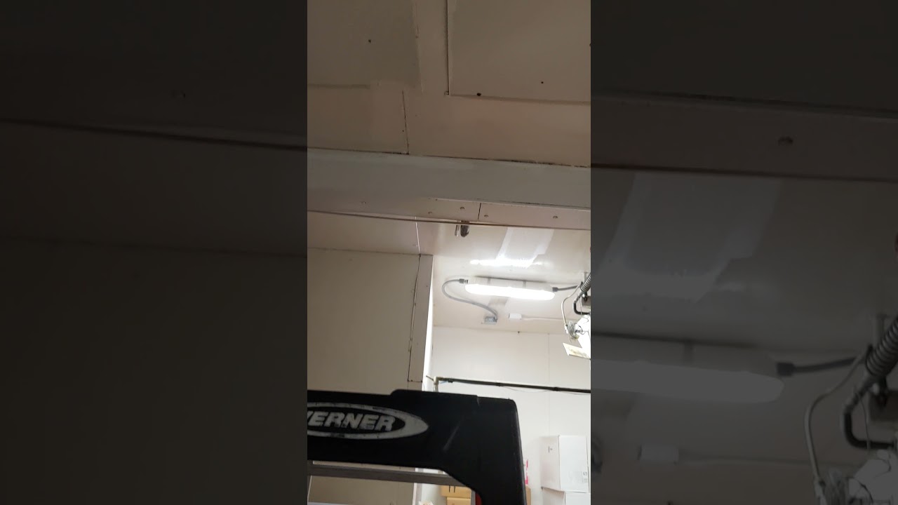 Vapor-Proof light full of water, Yes it's Live.