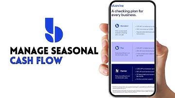 HOW TO MANAGE SEASONAL CASH FLOW WITH BLUEVINE