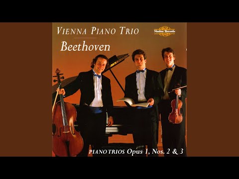 Piano Trio in C Minor, Op. 1 No. 3: II. Andante cantabile, con Variazioni