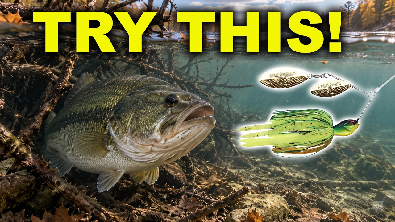 Fall Is Spinnerbait Season — Do These 4 Things