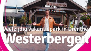 Vakantiepark Westerbergen - Veelzijdig Familiepark In De Drentse Natuur