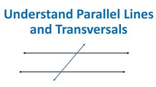 Celebrity Parallel Lines and Transversals (Geometry Made Easy) Wealth
