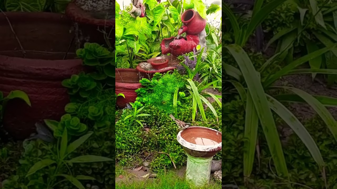 water fall made by my own hands in my garden