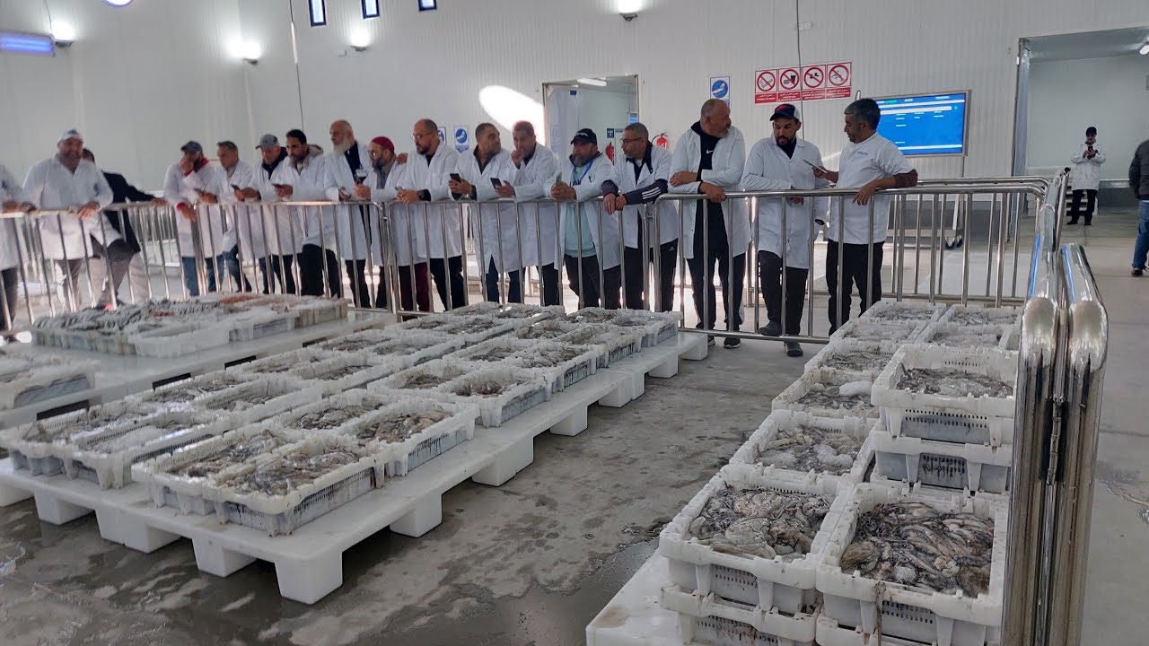 ربورتاج .. سوق من الجيل الجديد يفتح أفاق هامة لرواج المنتوجات البحرية بميناء المهدية
