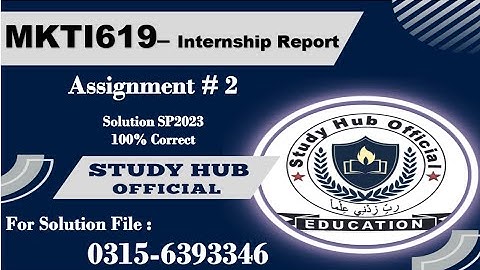 MKTi619 Assignment 2 internship report