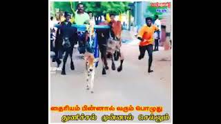 Kattabomman Kottail Kaladi Vacchathu Kannukutty