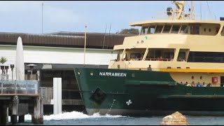 Reckless/ Manly Ferry