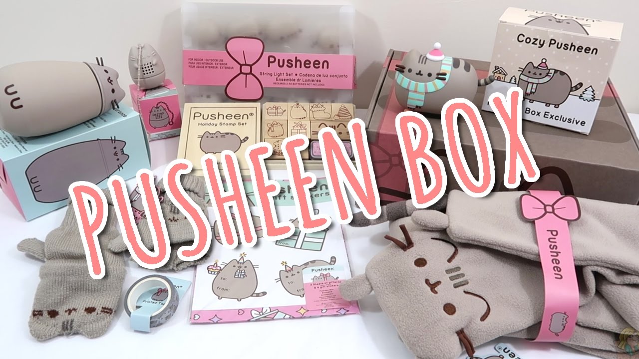 PUSHEEN BOX - Winter 2016/2017