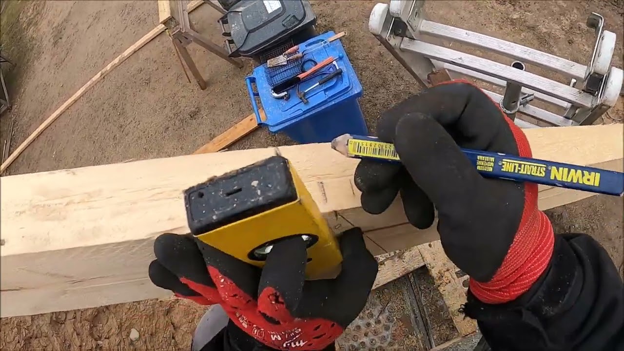 Molis 12 , Žilvino planai ir Patreonas