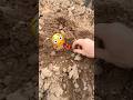 Поиск клада! #золото #metaldetecting #shortvideo #коп #поиск #metaldetector #клад #монеты #coin #топ