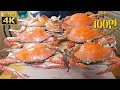 특대 꽃게찜 6마리 술먹방 [같이한잔]Boil blue crabs and eat them with Korean soju.