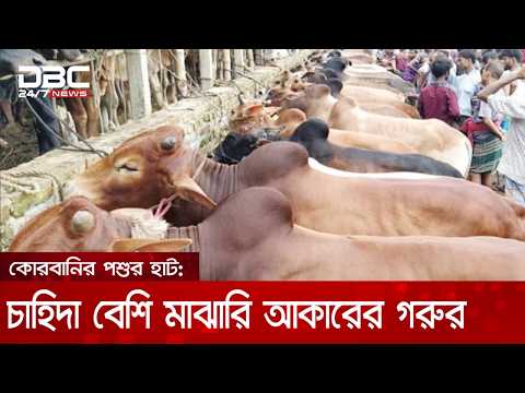 রাজধানীতে আনুষ্ঠানিকভাবে শুরু কোরবানির পশুর হাট | DBC NEWS