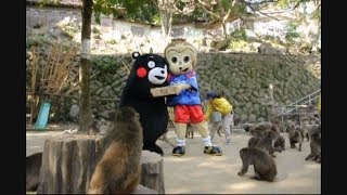 くまモン、ボスザル祝福　大分・高崎山を訪問