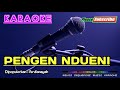 PENGEN NDUENI -Ferdiansyah- KARAOKE