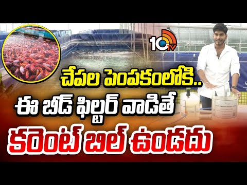 Fish Farming |Zero Electricity Bill | చేపల పెంపకంలోకి.. ఈ బీడ్ ఫిల్టర్ వాడితే కరెంట్ బిల్ ఉండదు|10TV - 10TVNEWSTELUGU