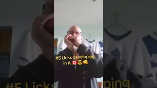 Harmonica #5 developing licks 🇨🇦😎👊 #harmonica #blues #teacher #canada 