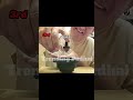 Physics Experiment l Trending Padhai l #shorts #experiment #physicswallah #physics #funny #science