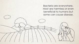 How antibiotic-resistance bacteria spread