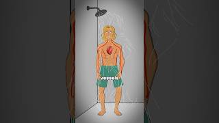 Celebrity What happens if you take a cold shower after exercising? Net Worth