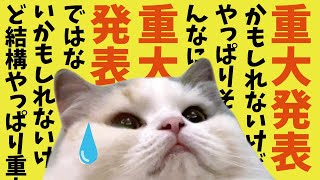 ネコにゃんページ Big incident!?] Cat running away with that thing on is too