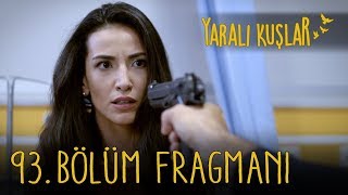 Yaralı Kuşlar 93 Bölüm Fragmanı English And Spanish