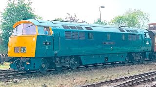 SVR Class 43s,37,46,52,50 at Kidderminster 18/5/24