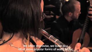 Muzica Gitana Demo
