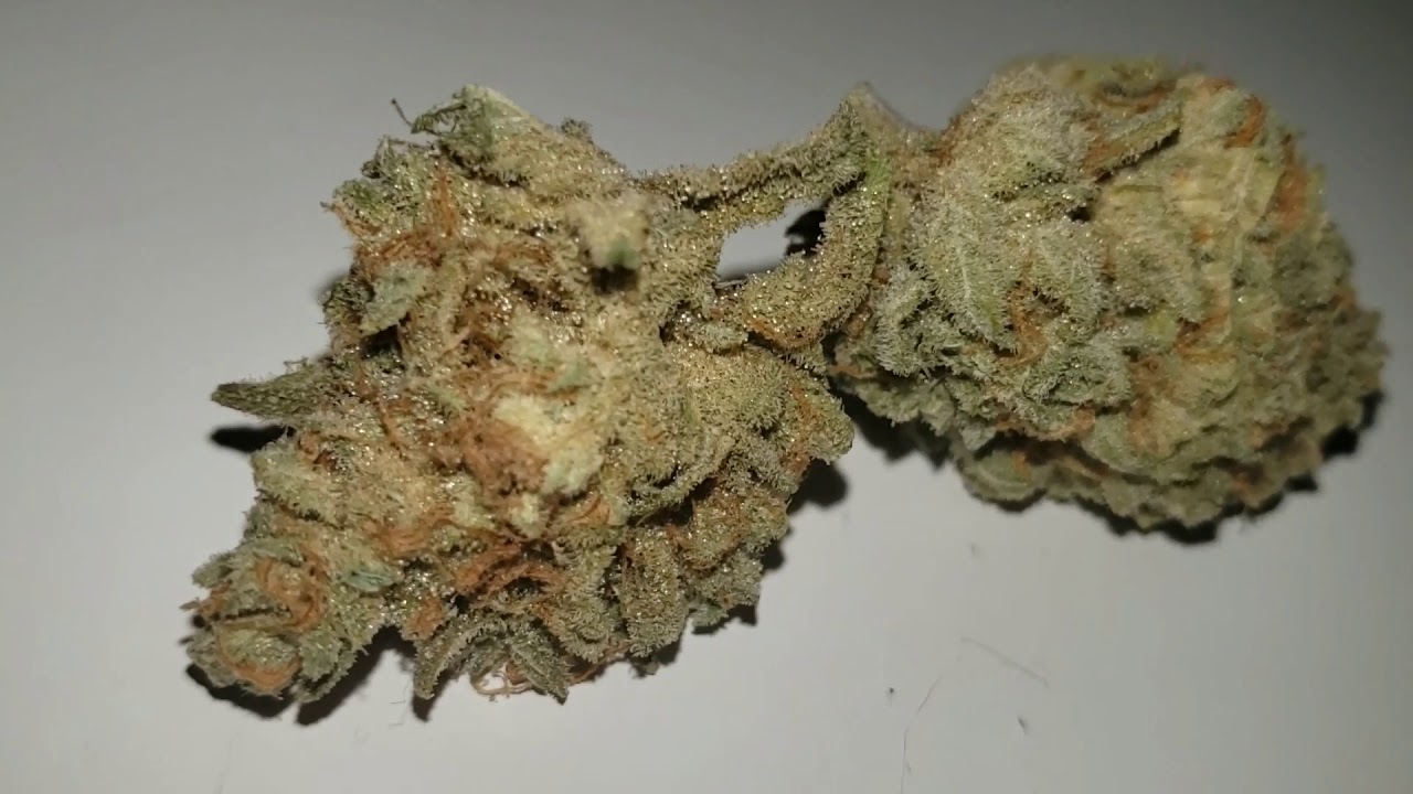 STRAIN REVIEW 040: grease monkey AAAA- Ghostdrops