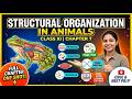 Structural Organisation in Animals Class 11 Biology | Chapter 7 Full One Shot + FREE PDF &amp; Mind Map