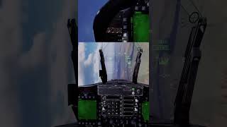 forgetting the masterarm | pinky_sp on #Twitch #DCS
