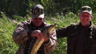 Рибоводне господарство "Рибальський хутір" | Заповідники України 6 Серія | Фауна