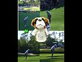Rory McIlroy’s Friday Masterpiece at Augusta