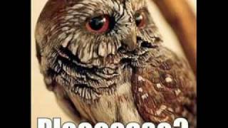 O RLY?