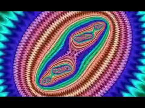 視点