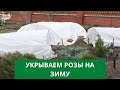 ОБРЕЗКА РОЗ ОСЕНЬ. СПОСОБЫ УКРЫТИЯ РОЗ на зиму!