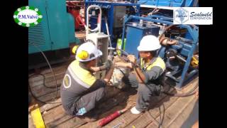 Sealweld and PM Valve Subsea Sealing