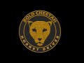 Bold Cheetah - Skip to Push Option