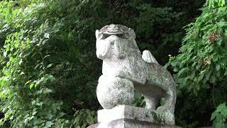 吉志天疫神社 散策 カメラ ジンバル テスト Japan Fukuoka Shrine Tour ソニー / 4K / ビデオカメラ / Handycam / FDR-AX45