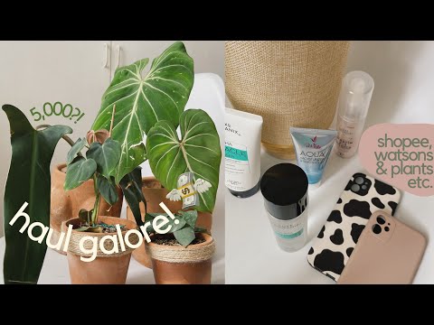 haul galore! ✰ shopee, watsons & plants 🛒 | gabrielle louise
