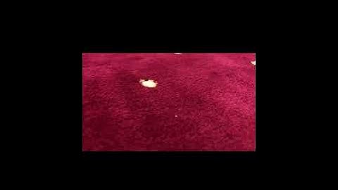 القارئ / عاصم التويجري ، شرح ربي قلبه ( سورة التوبة من ٣٤ الى ٣٥ )