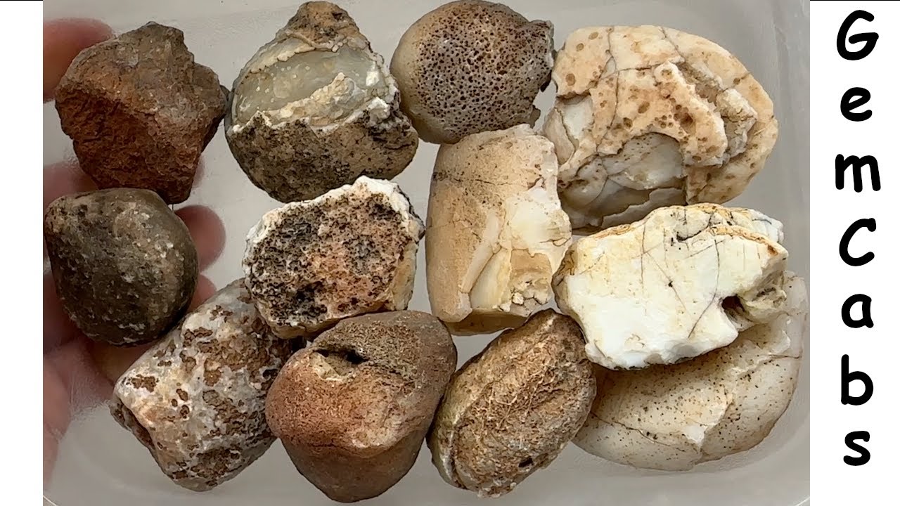 Group of Miscellaneous Arizona Rocks Cut Open to Reveal What is Hiding ...