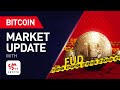 24 November Crypto and BTC Market Update