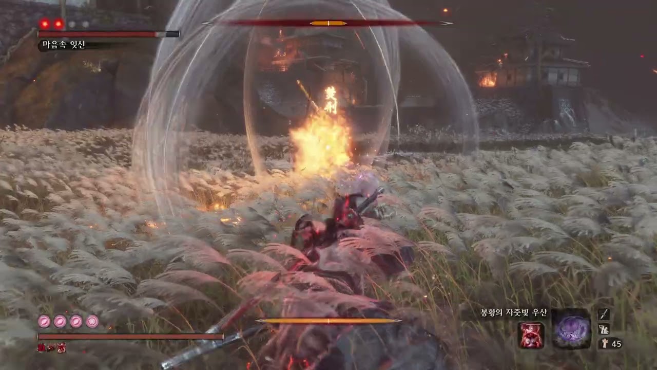 SEKIRO : LMTSR 19.65 CL/DB Inner Isshin