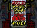 【攻略法レベル】アニマルスロットドッチの上位ST直撃打法がエグい