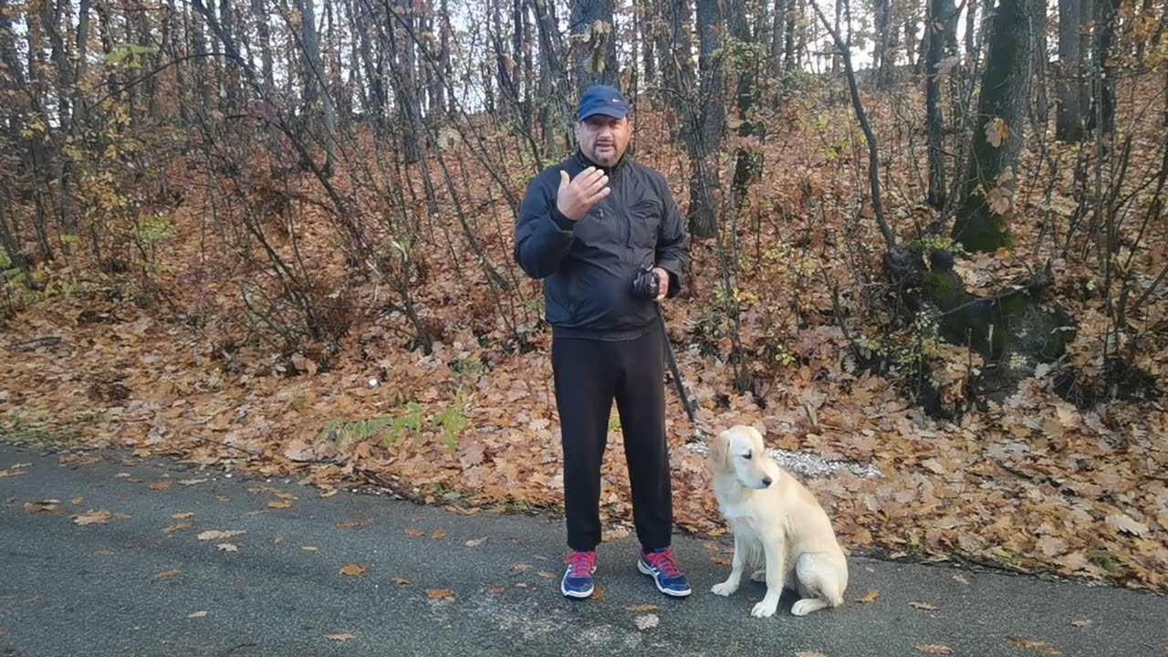 Kako da se zaštitite od napada psa (2022)