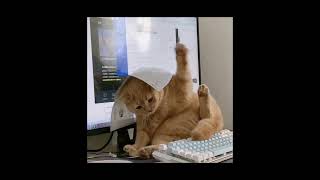 Sped Up Edit Audios Pt.38